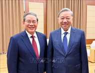 Vietnamese Party leader meets with Chinese Premier in Pyongyang